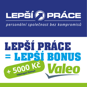 300x300_LP_VALEO